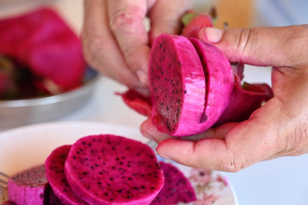 Ekildikten sonra 3 yıl ürün vermiyor. 3 ton topladığı ilk hasadı seneye 10 tona çıkacak 6